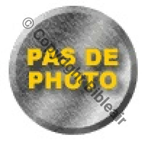 020  1932.38 1eDRILLE SPA.Bi.20 GO.1.35 Fanion au lion des Flandres 